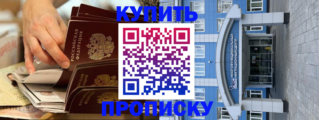 прописка гарантия в Моршанске